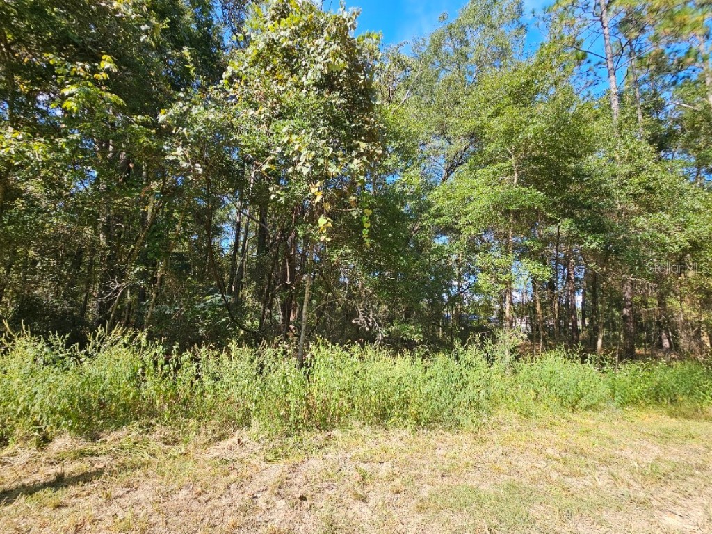 TBD SW 21st Place Ocala FL 34481 OM710650 image4