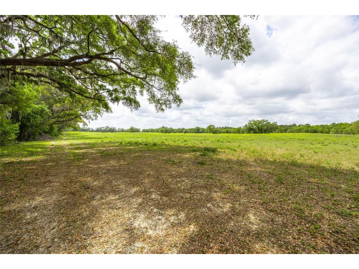 TBD SW 220th Drive Newberry FL 32669 GC529493 image6