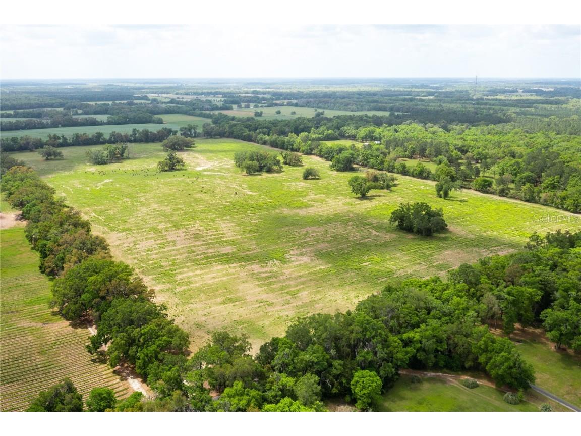 TBD SW 220th Drive Newberry FL 32669 GC529496 image2