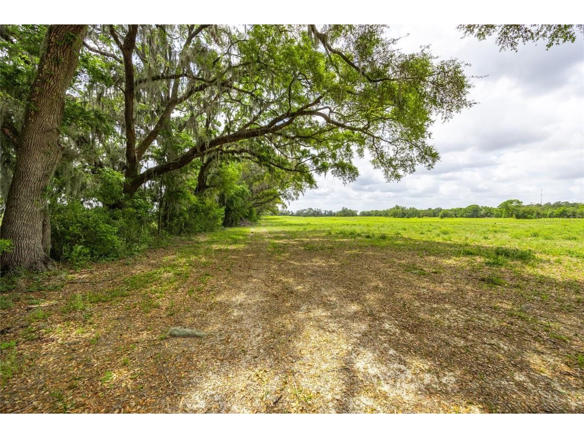 TBD SW 220th Drive Newberry FL 32669 GC529496 image5