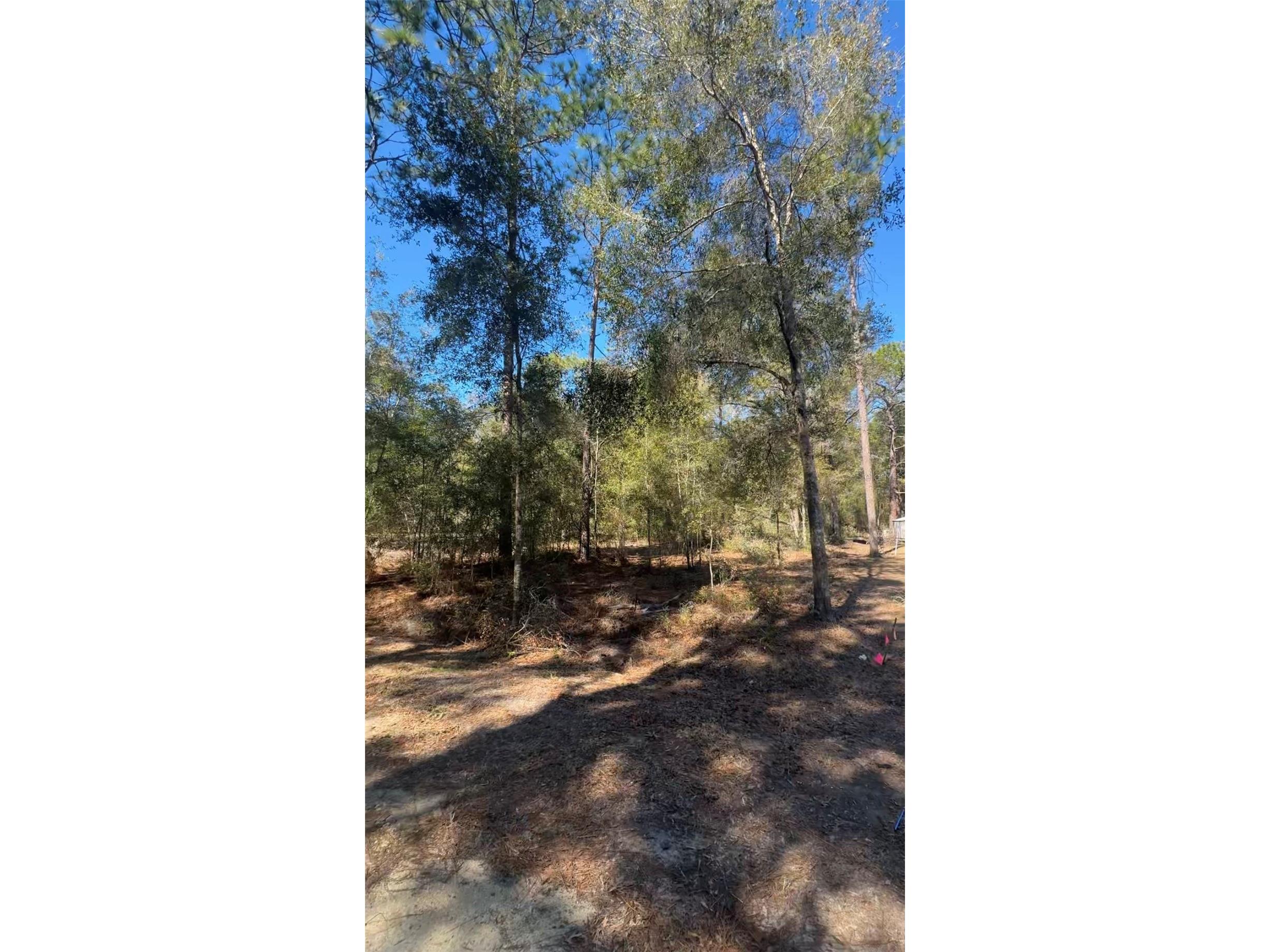 TBD SW 22nd Place Ocala FL 34474 OM723056 image2
