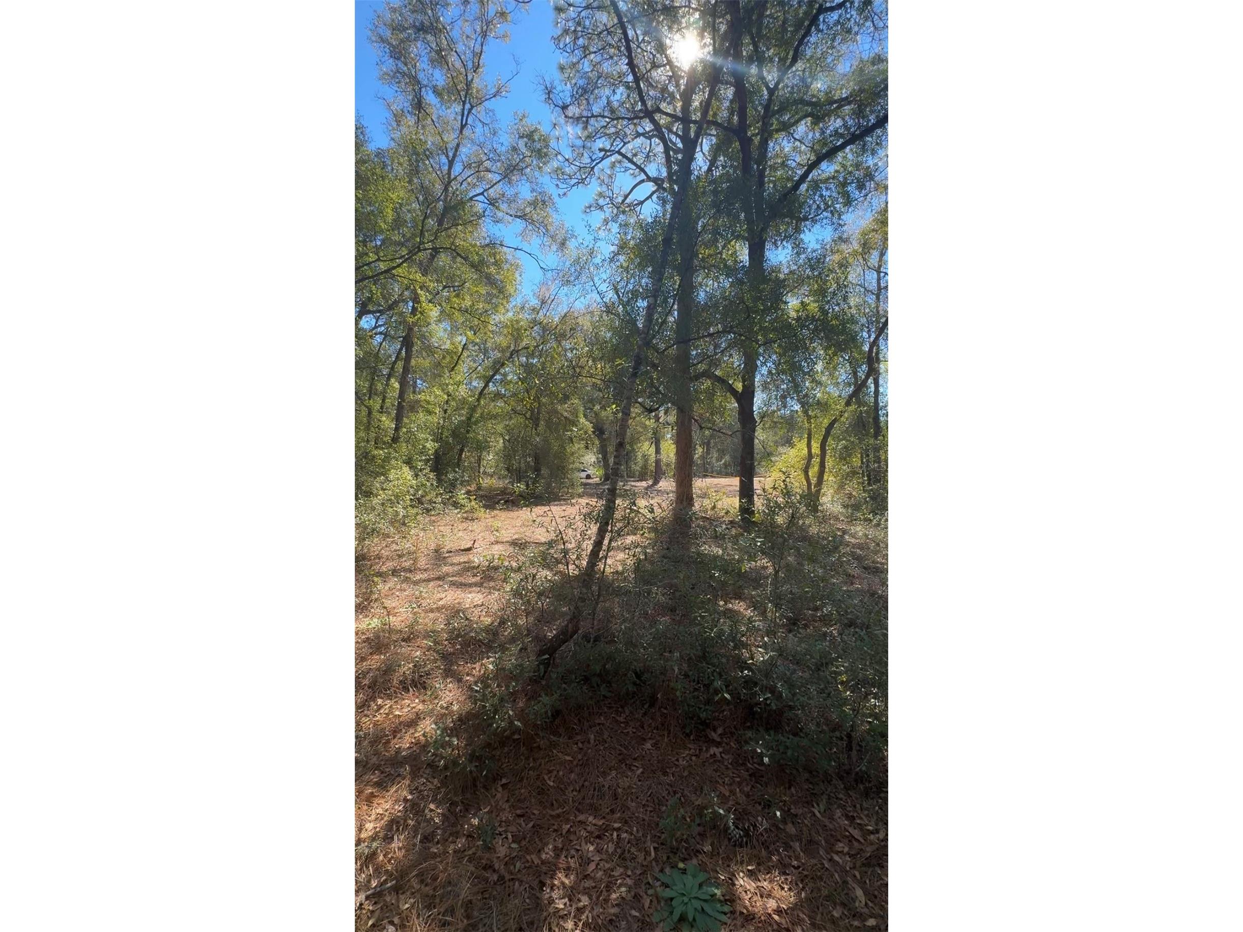 TBD SW 22nd Place Ocala FL 34474 OM723056 image3