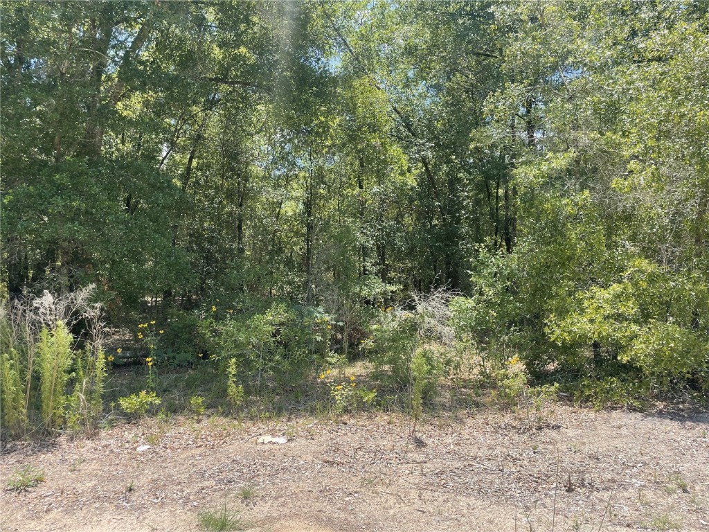 TBD SW 22nd Place Ocala FL 34481 OM704018 image1