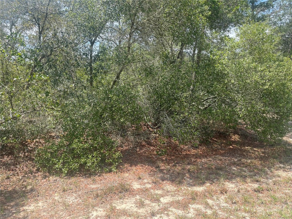 TBD SW 23rd Ave Road Ocala FL 34473 OM656733 image1