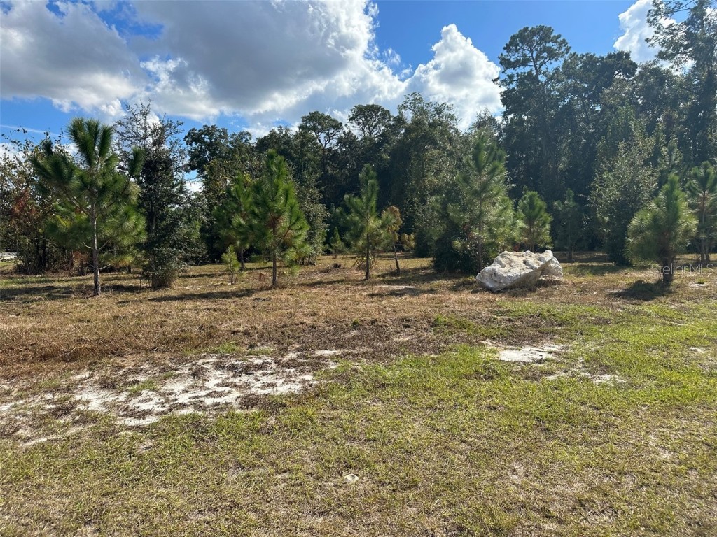 TBD SW 24th Avenue Gainesville FL 32607 GC517479 image4