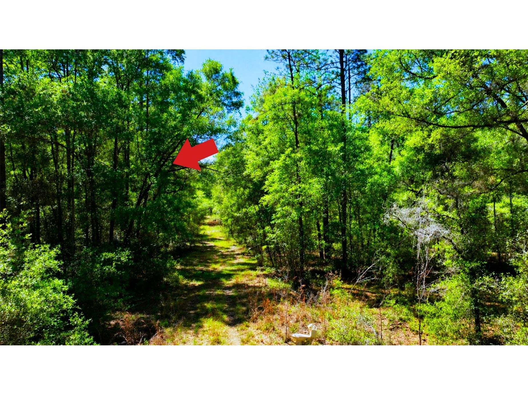 TBD SW 24th Place Ocala FL 34481 A4691430 image11
