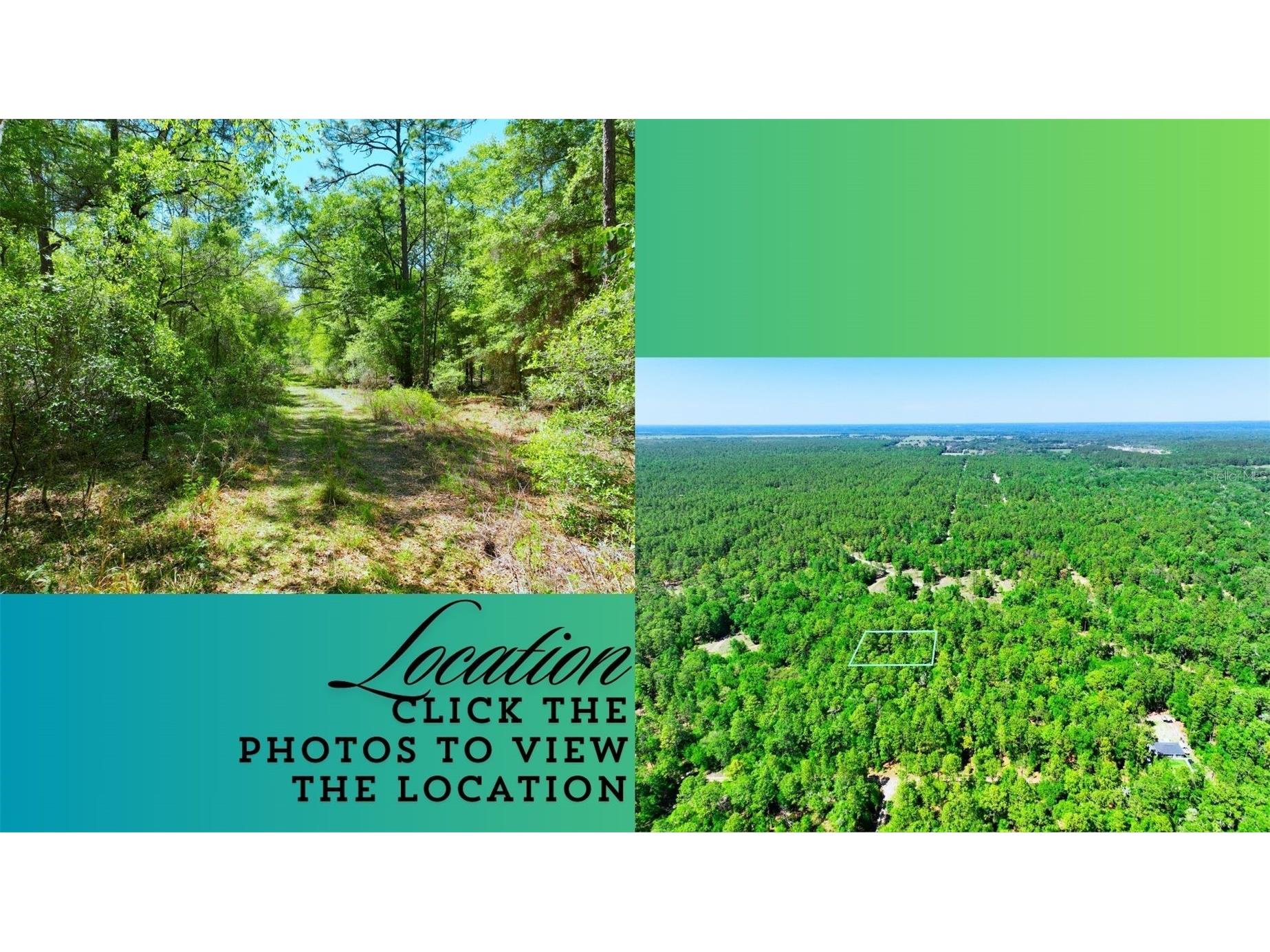 TBD SW 24th Place Ocala FL 34481 A4691430 image3