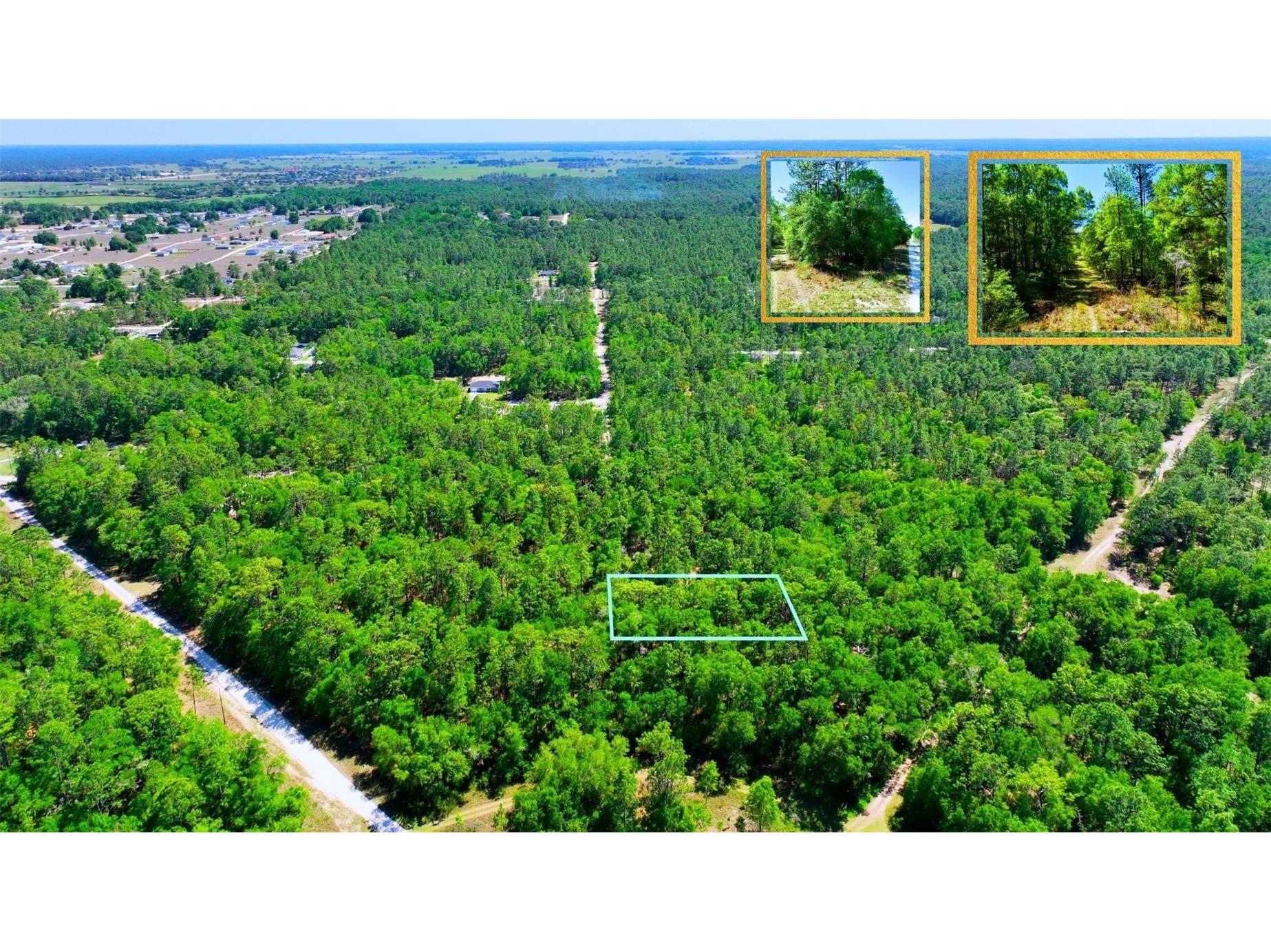 TBD SW 24th Place Ocala FL 34481 A4691430 image4