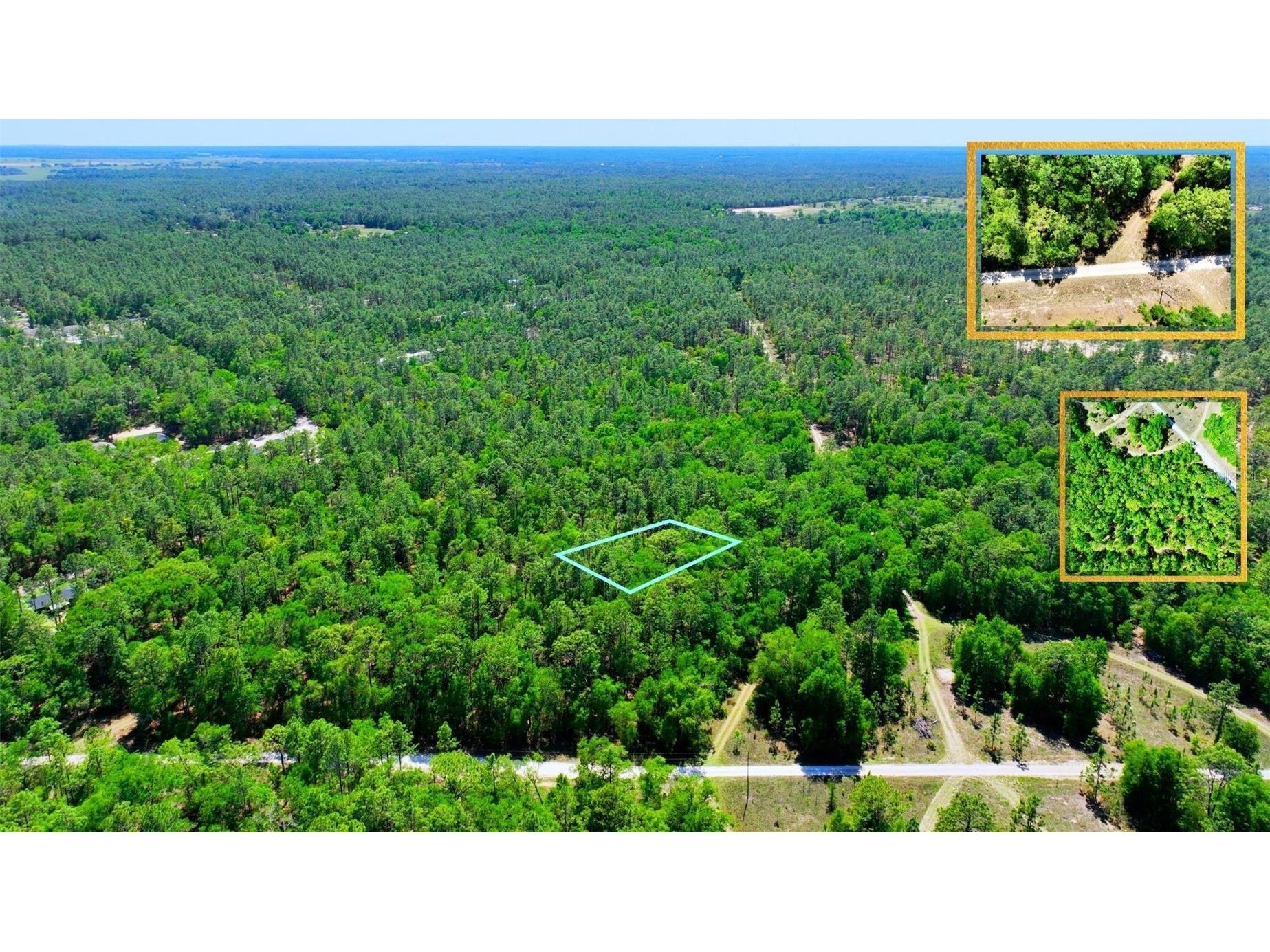 TBD SW 24th Place Ocala FL 34481 A4691430 image6
