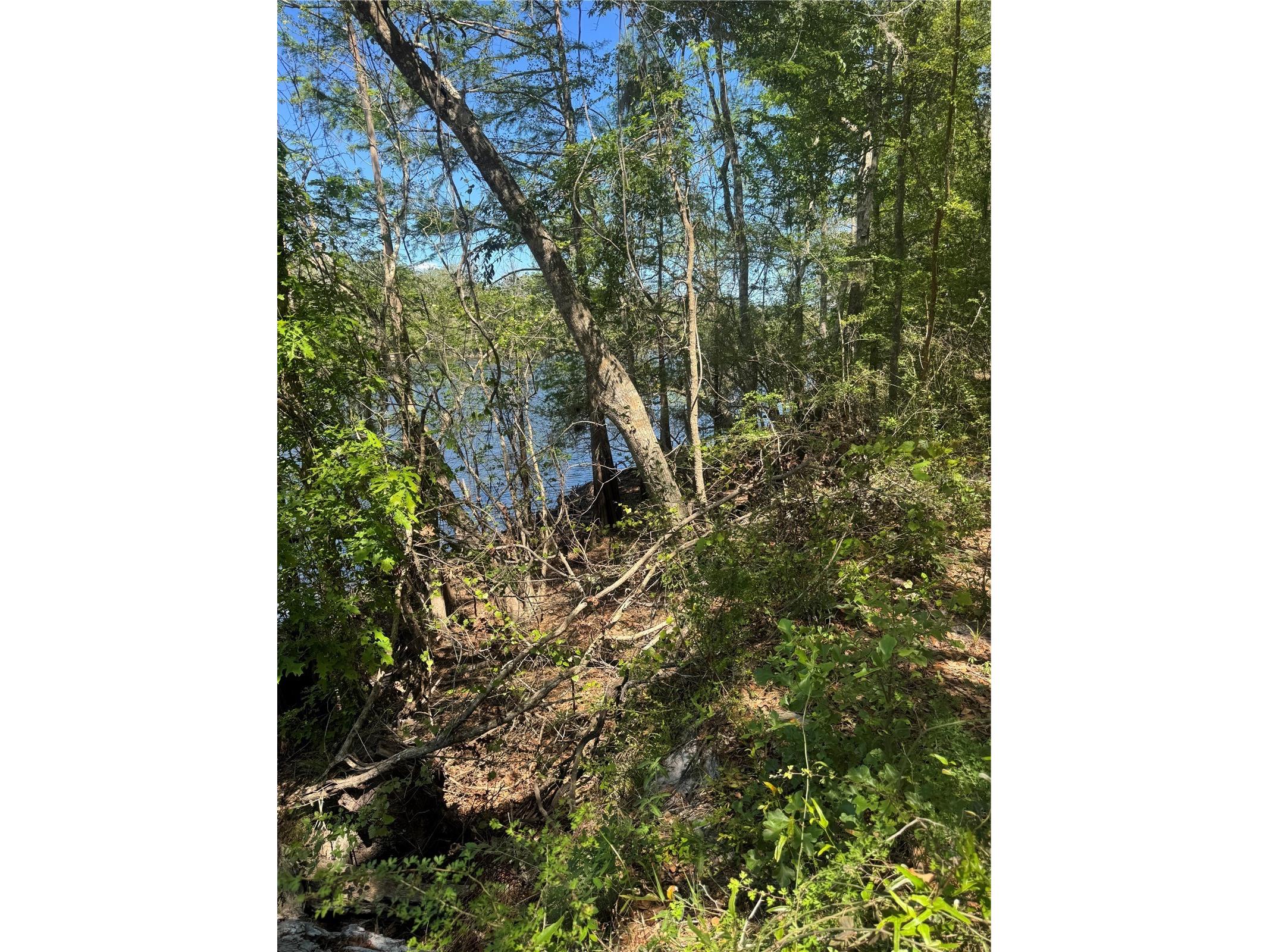 TBD Sw 25 Place Bell FL 32619 - SUWANNEE RIVER GC539387 image1