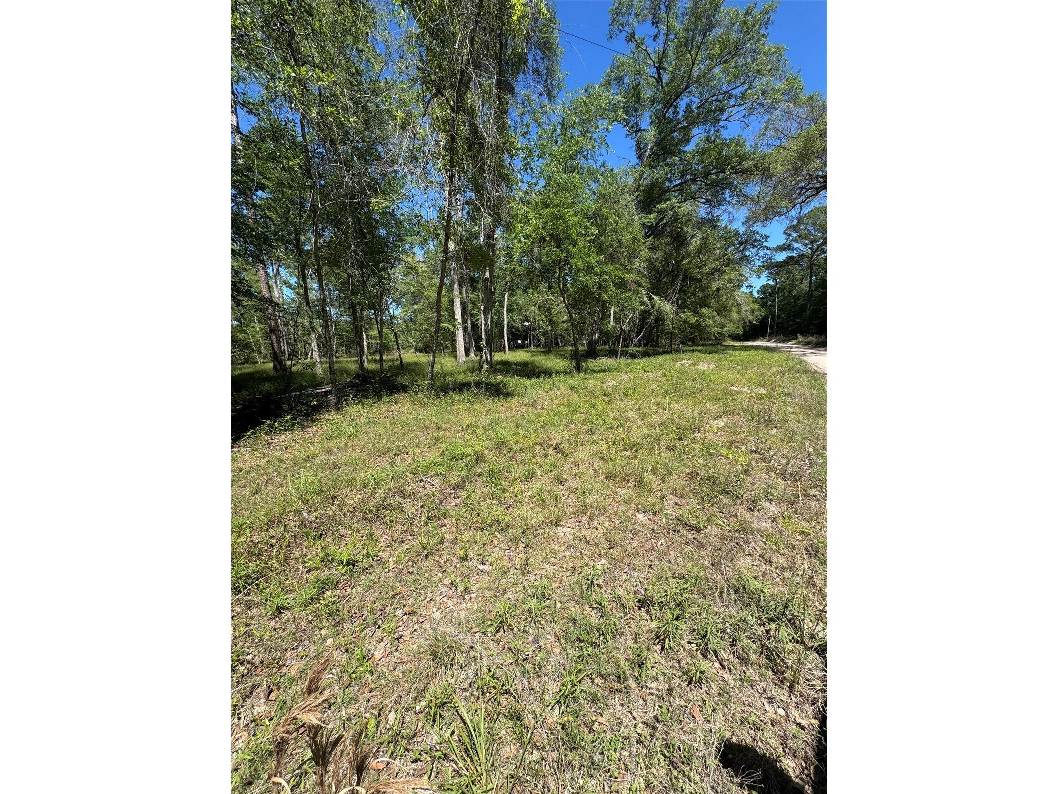 TBD Sw 25 Place Bell FL 32619 - SUWANNEE RIVER GC539387 image2