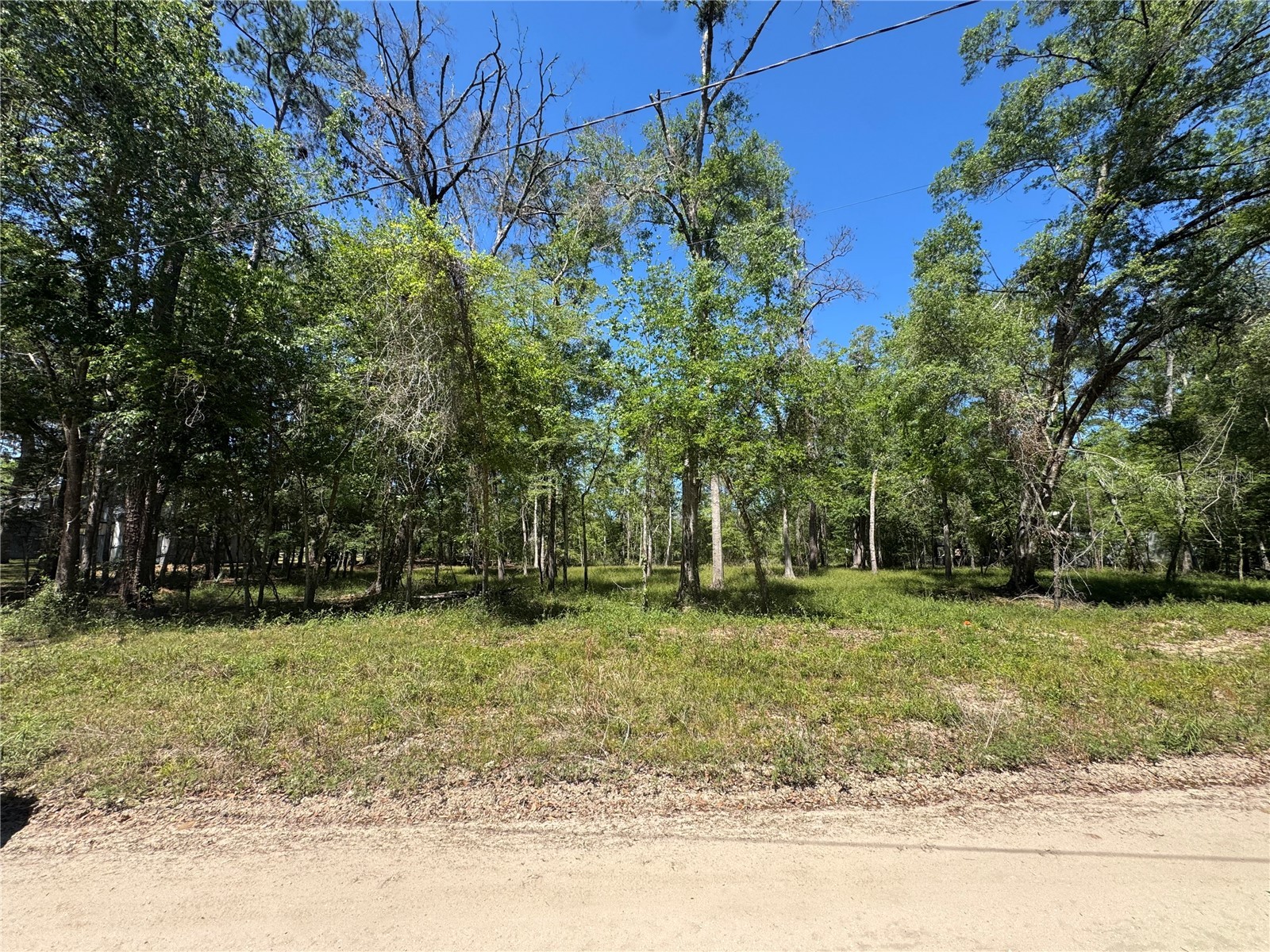 TBD Sw 25 Place Bell FL 32619 - SUWANNEE RIVER GC539387 image3
