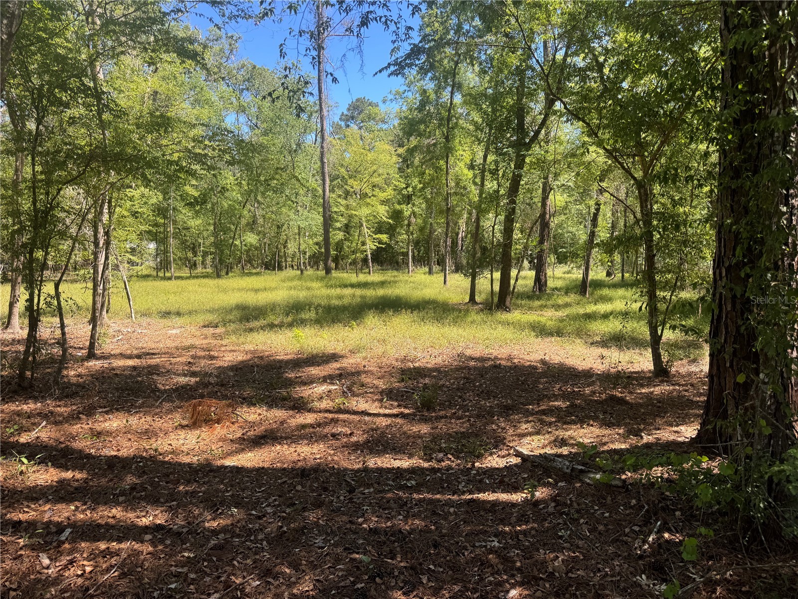 TBD Sw 25 Place Bell FL 32619 - SUWANNEE RIVER GC539387 image4