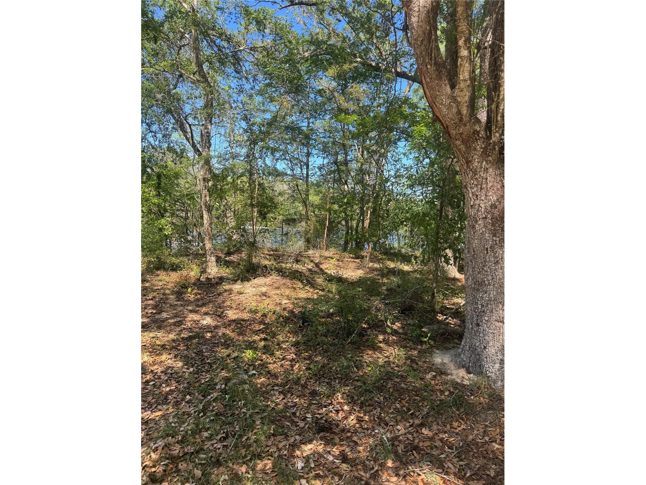 TBD Sw 25 Place Bell FL 32619 - SUWANNEE RIVER GC539387 image5