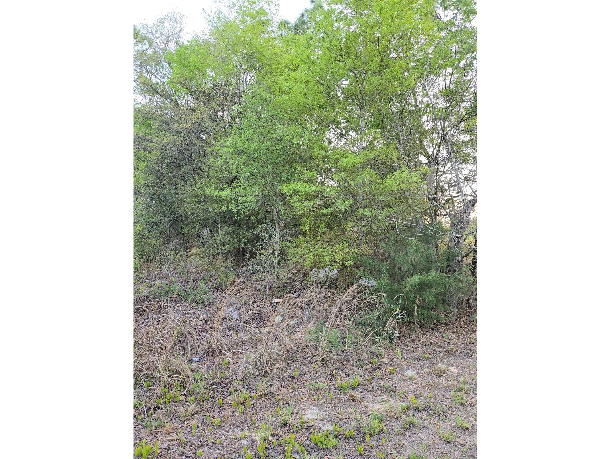 TBD Sw 27 Street Ocala FL 34481 OM720862 image4