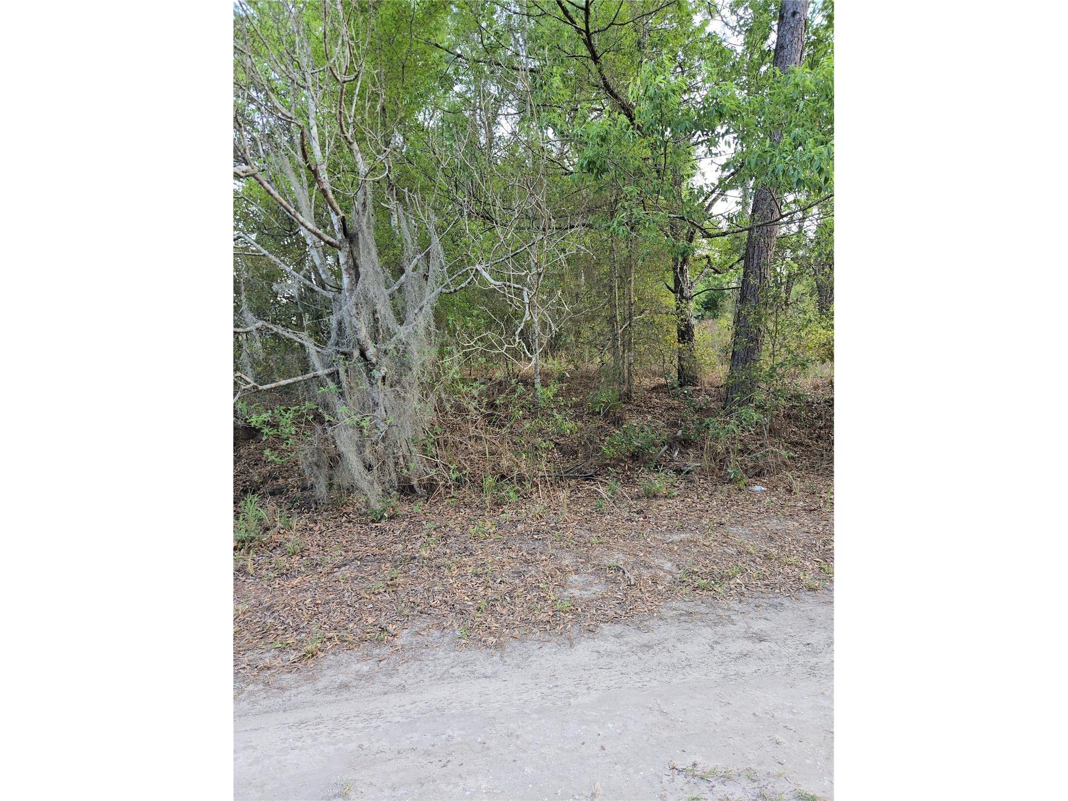 TBD Sw 27 Street Ocala FL 34481 OM720862 image5