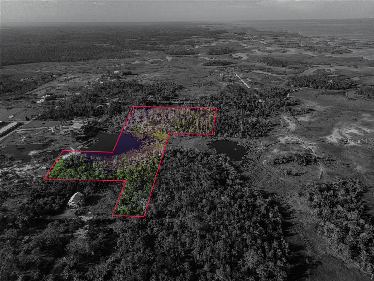 TBD SW 276 Avenue Steinhatchee FL 32359 GC540886 image3