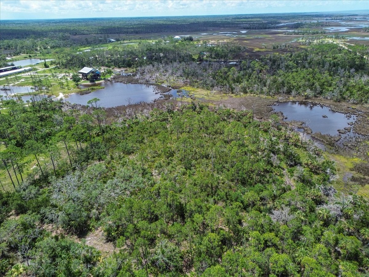 TBD SW 276 Avenue Steinhatchee FL 32359 GC540886 image4
