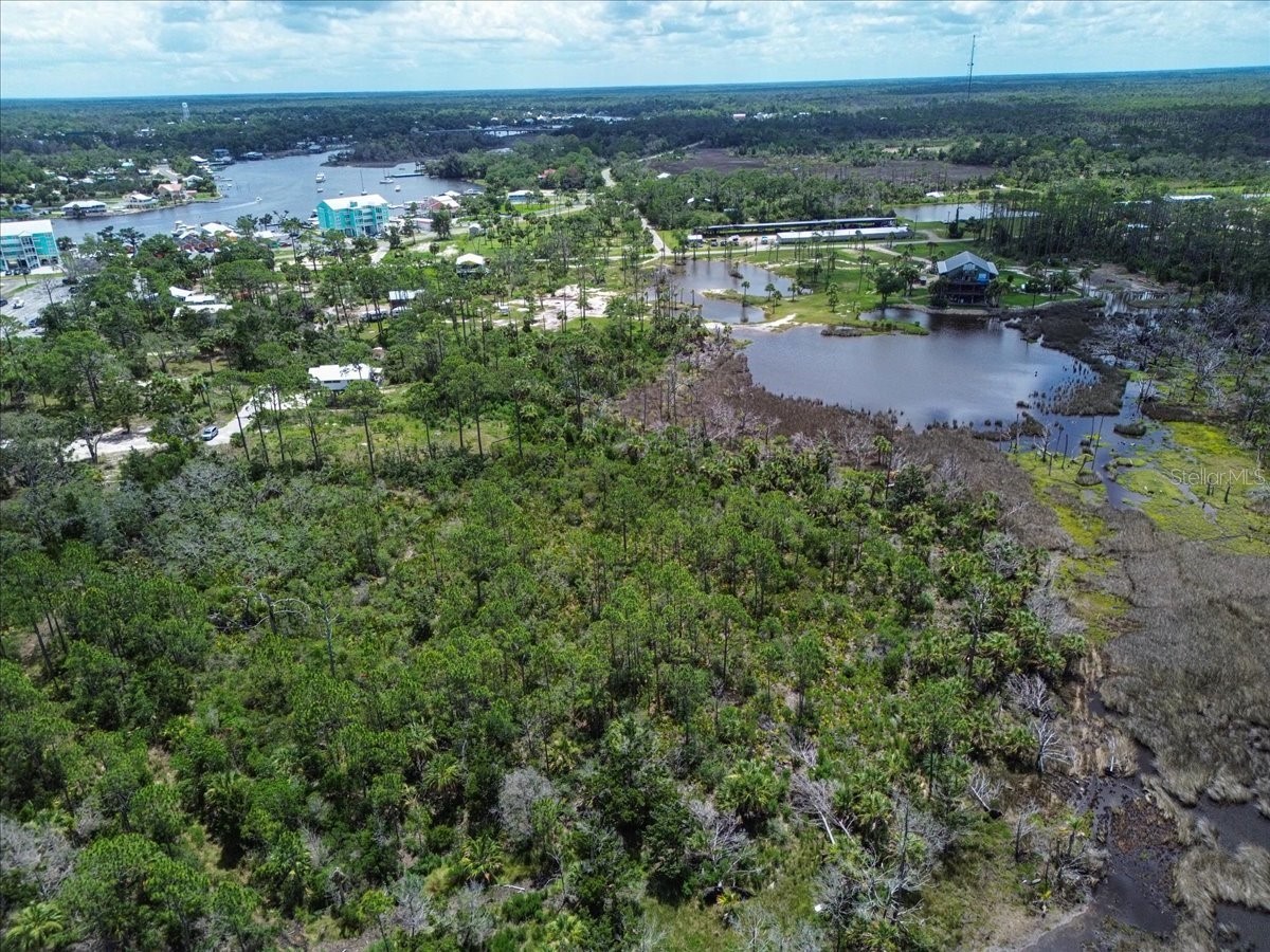 TBD SW 276 Avenue Steinhatchee FL 32359 GC540886 image5