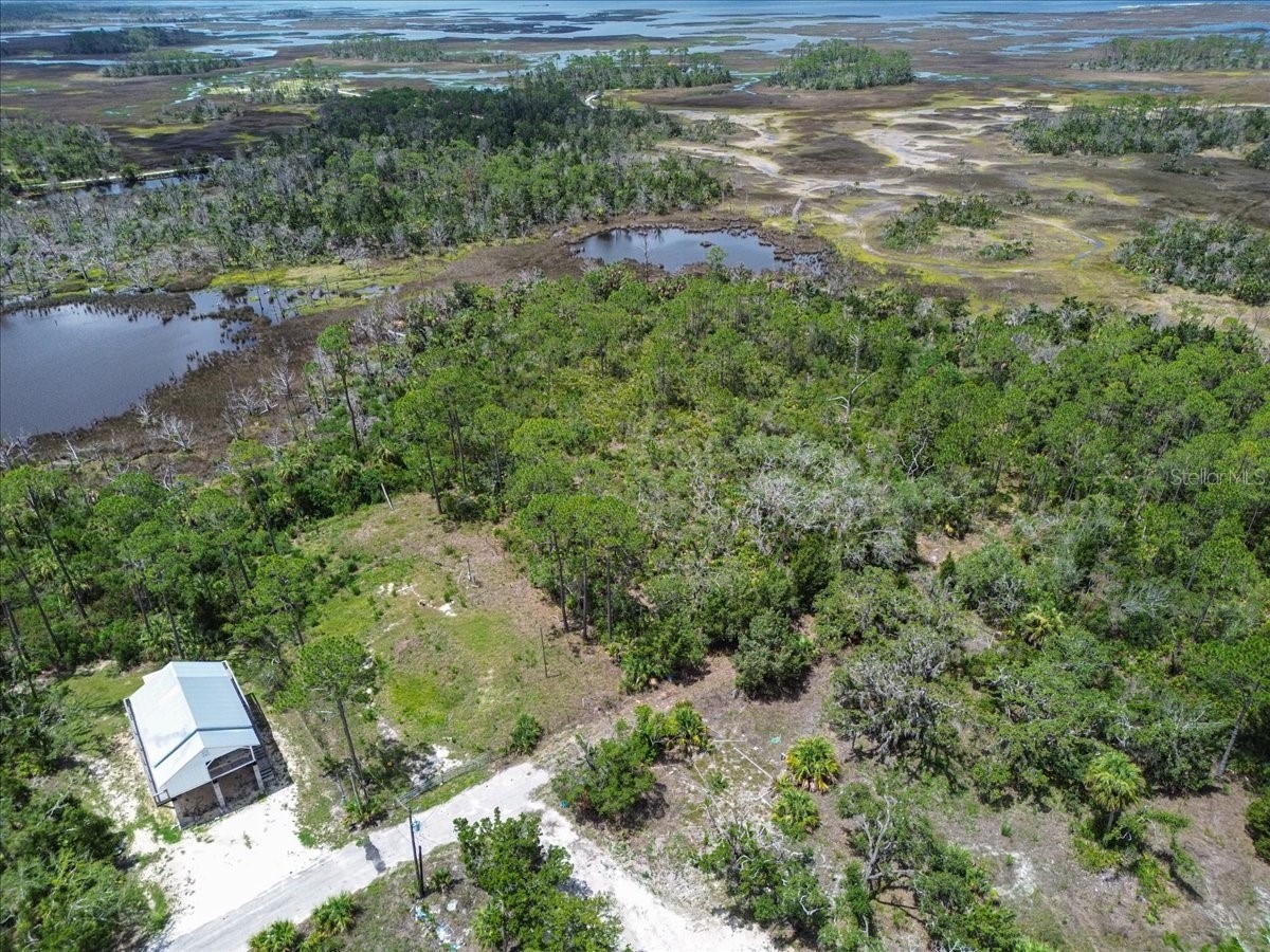 TBD SW 276 Avenue Steinhatchee FL 32359 GC540886 image6