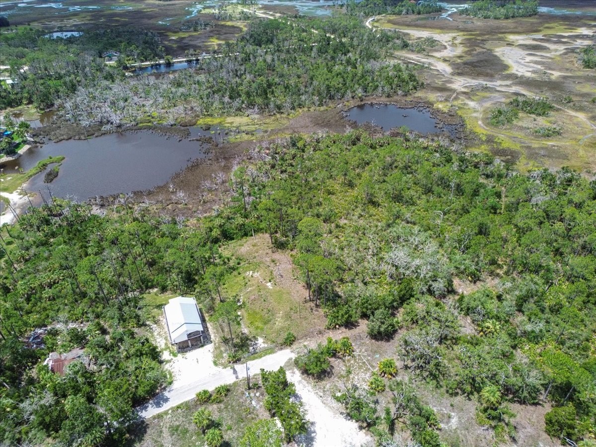 TBD SW 276 Avenue Steinhatchee FL 32359 GC540886 image7
