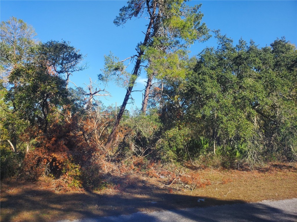 TBD SW 27th Circle Ocala FL 34473 OM651626 image1