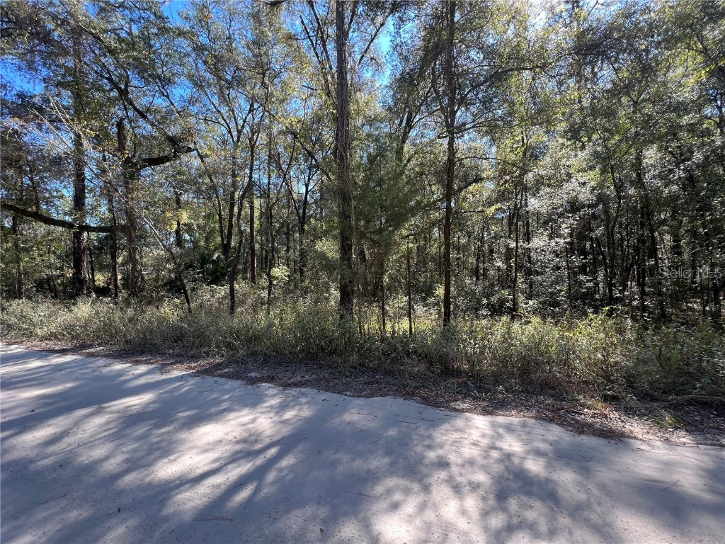 TBD SW 27th Lane Ocala FL 34481 OM667876 image1