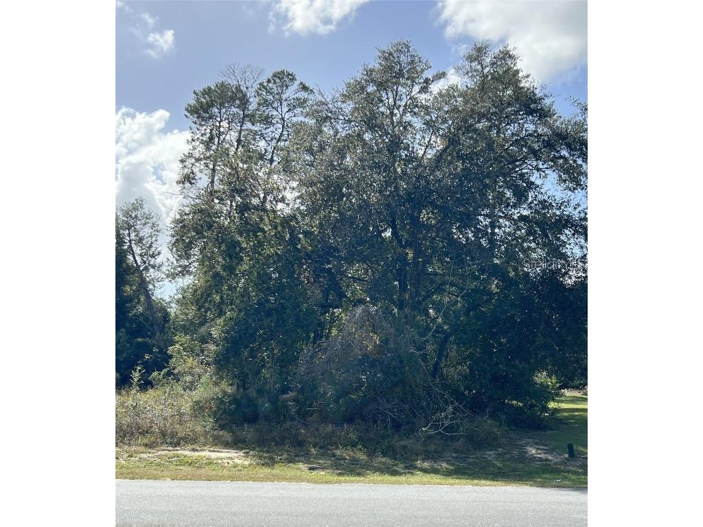 TBD SW 27th Terrace Road Ocala FL 34473 OM688616 image1