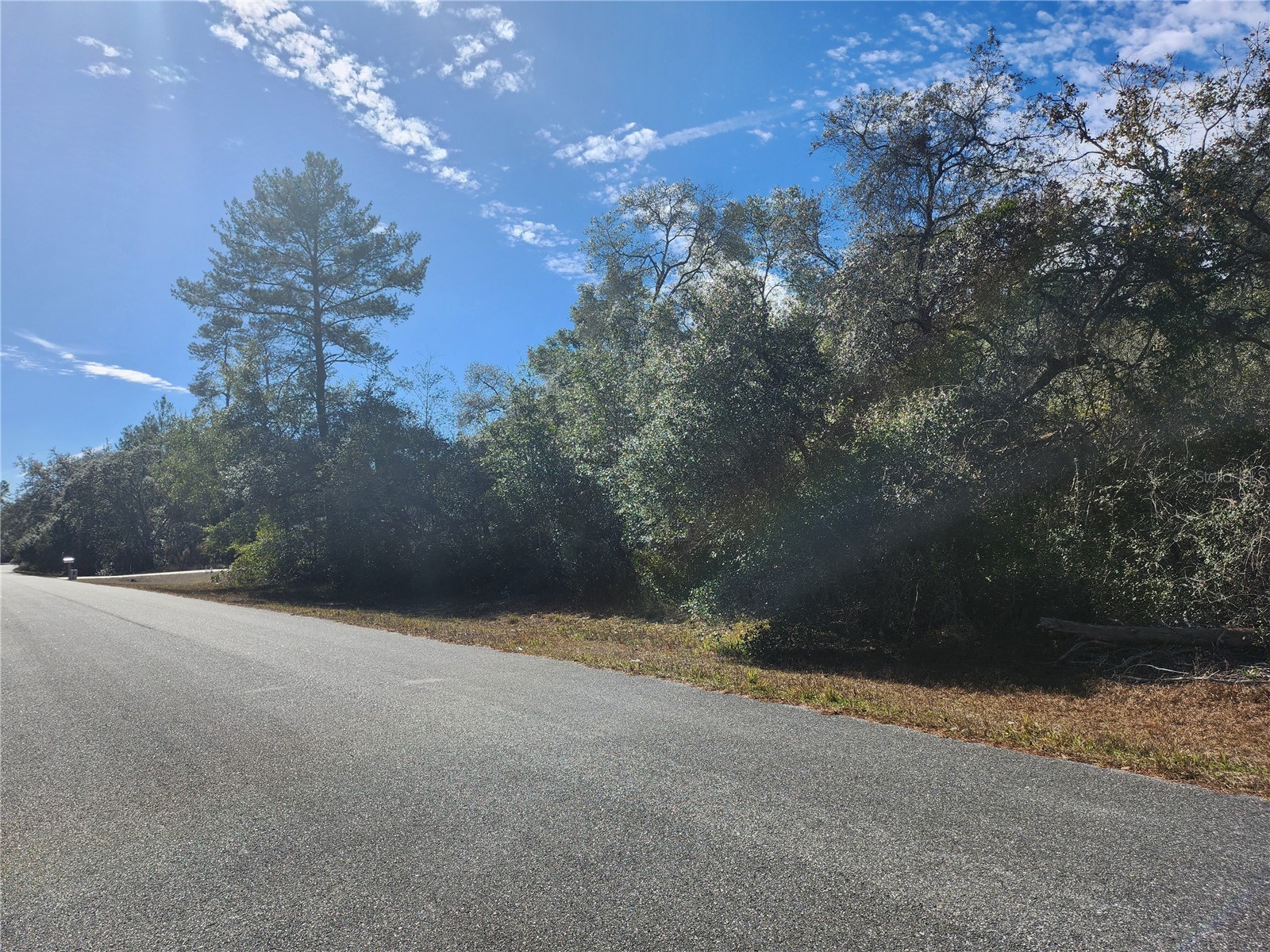 TBD SW 29 Terrace Road Ocala FL 34473 OM717063 image1