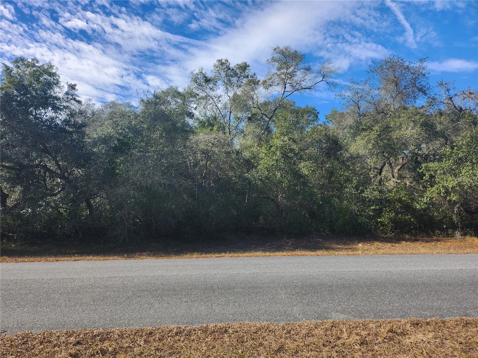 TBD SW 29 Terrace Road Ocala FL 34473 OM717063 image2