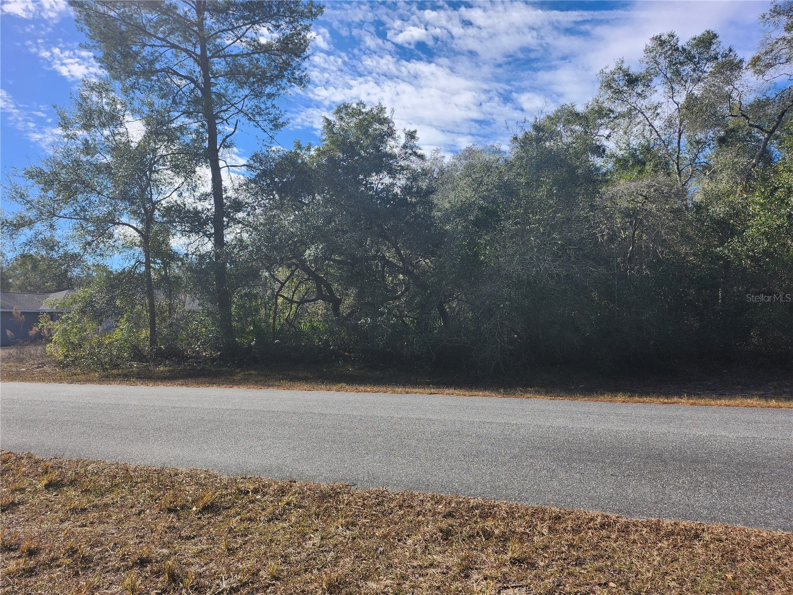 TBD SW 29 Terrace Road Ocala FL 34473 OM717063 image4