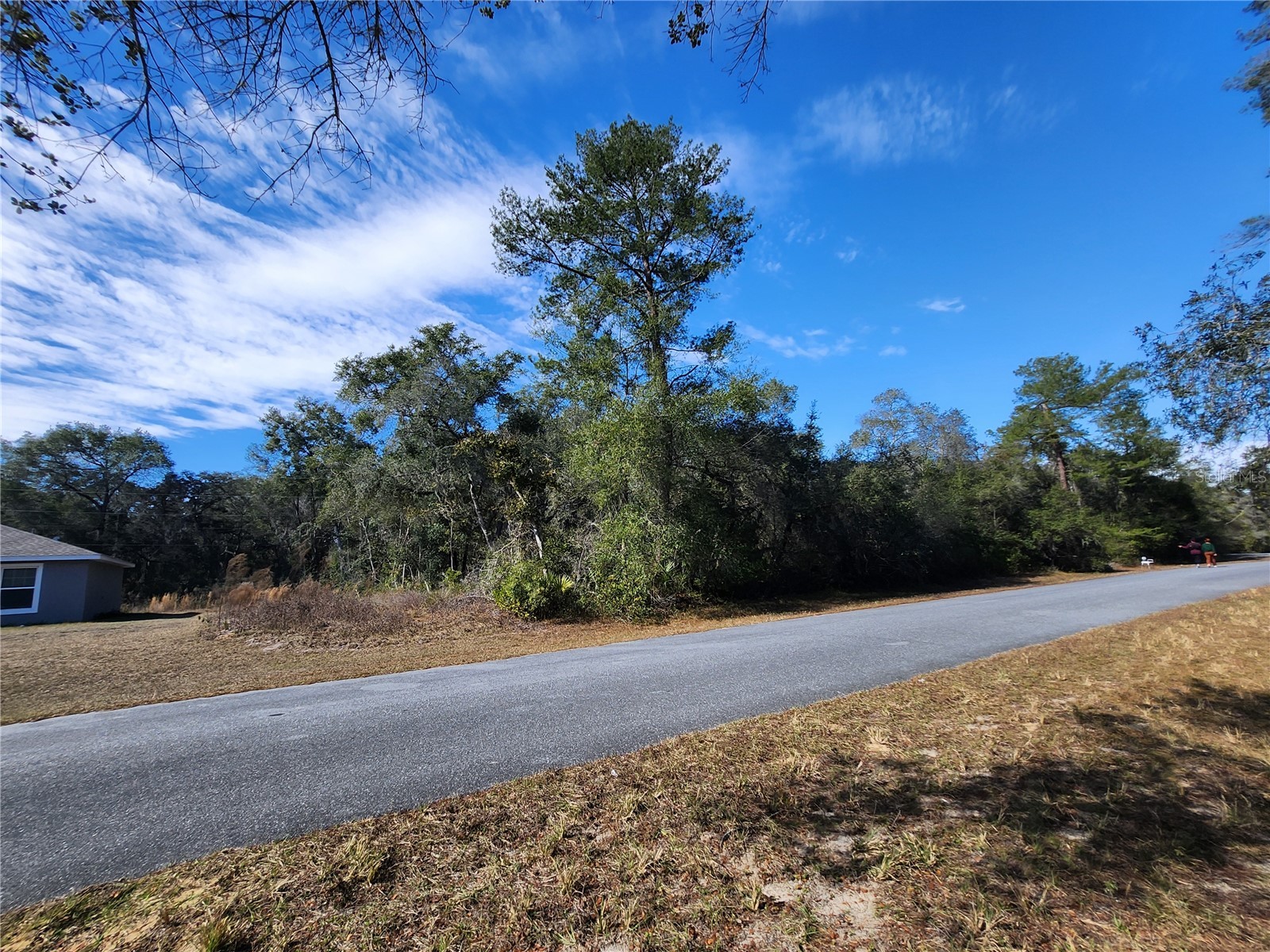 TBD SW 29 Terrace Road Ocala FL 34473 OM717063 image5