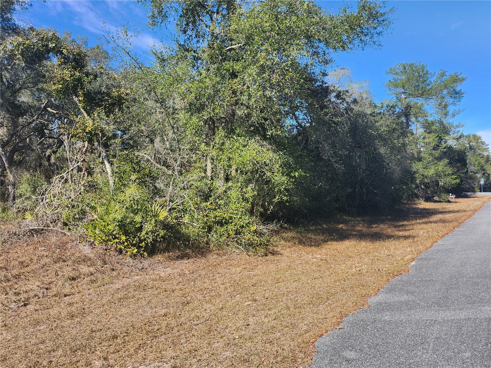 TBD SW 29 Terrace Road Ocala FL 34473 OM717063 image7