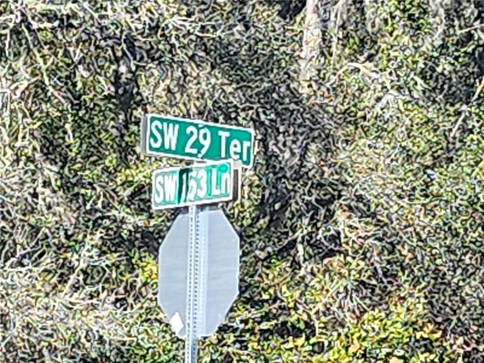 TBD SW 29 Terrace Road Ocala FL 34473 OM717063 image8