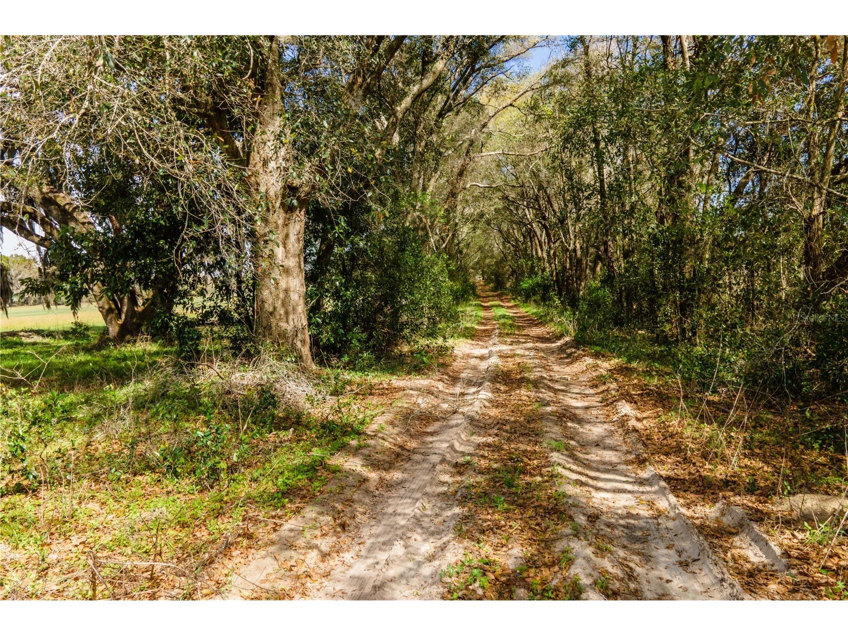 TBD SW 298 Street Newberry FL 32669 OM721905 image1