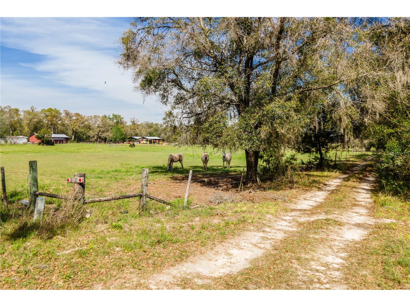 TBD SW 298 Street Newberry FL 32669 OM721905 image3