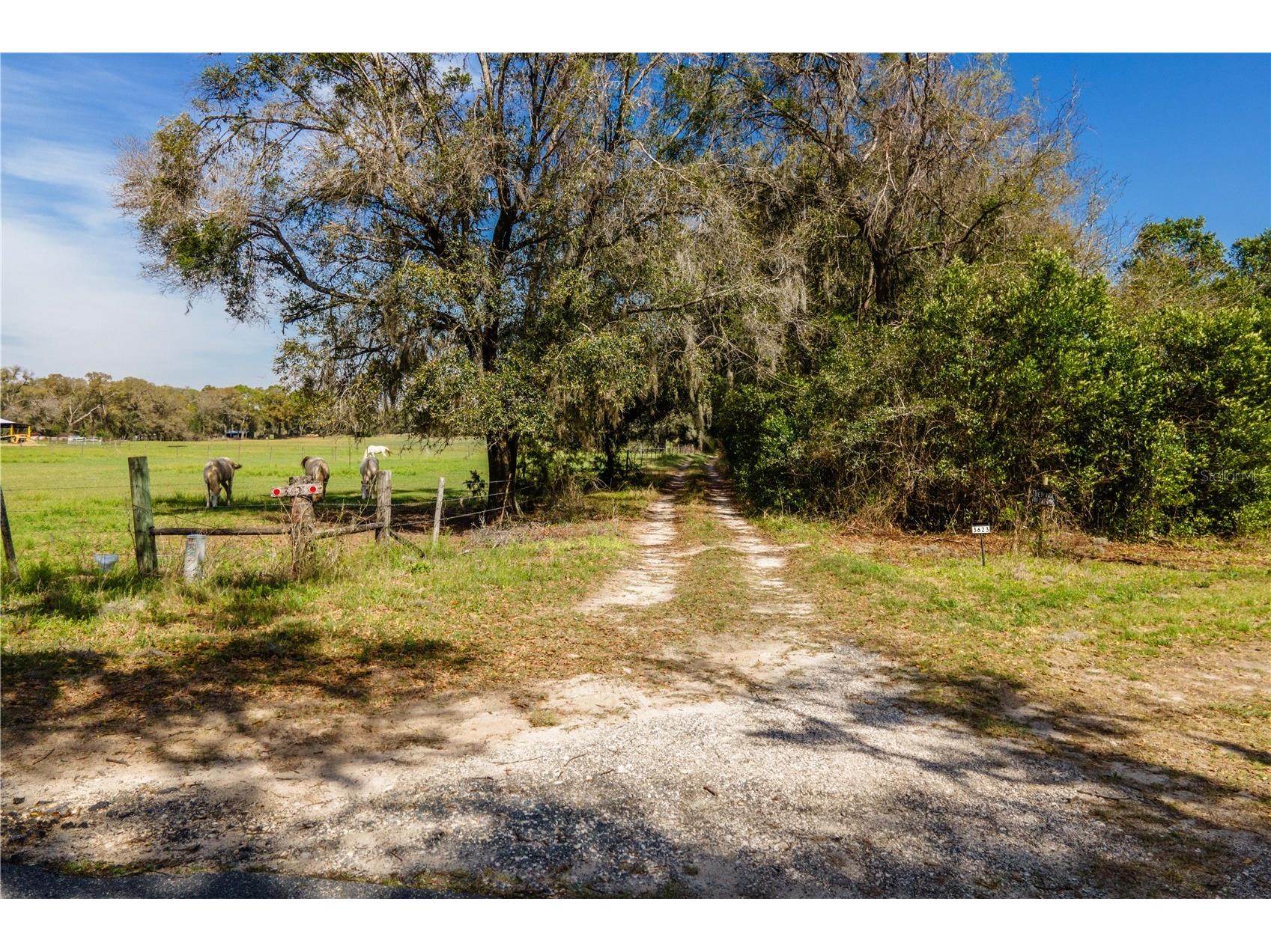 TBD SW 298 Street Newberry FL 32669 OM721905 image4