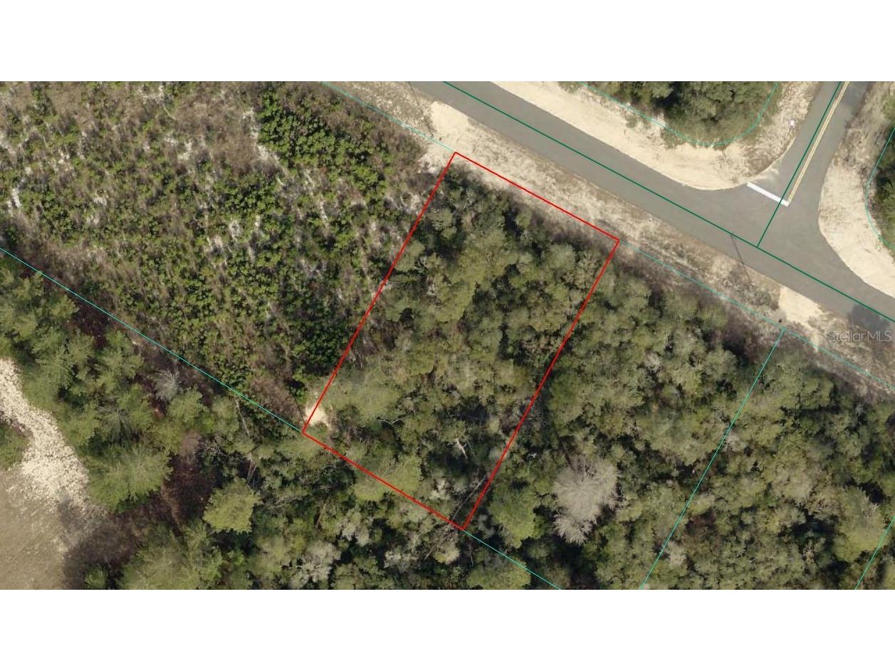 TBD SW 29th Court Road Ocala FL 34473 OM720526 image1