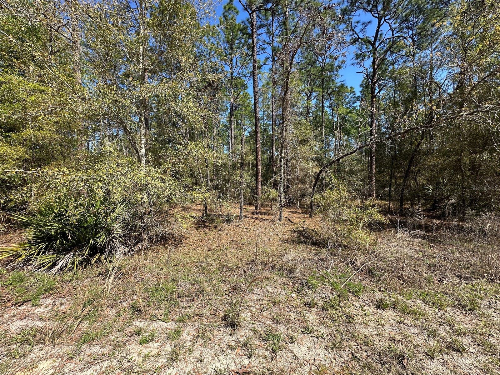 TBD SW 29th Street Ocala FL 34473 OM722079 image1
