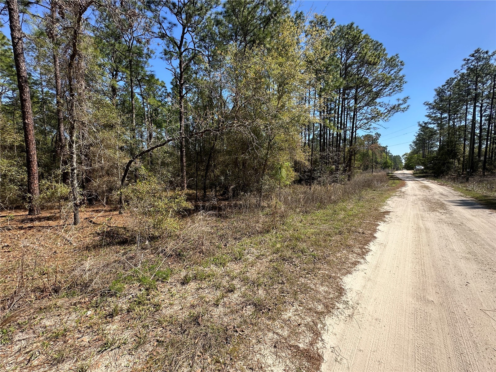 TBD SW 29th Street Ocala FL 34473 OM722079 image2