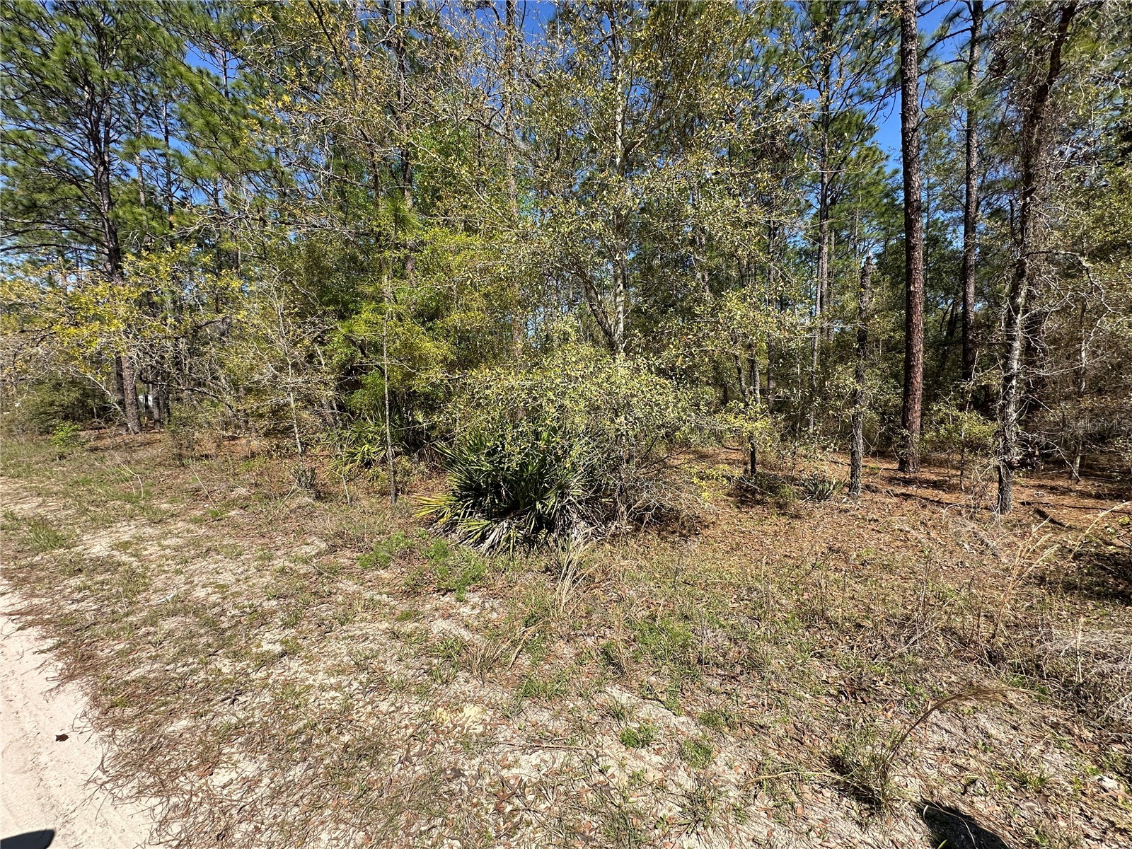 TBD SW 29th Street Ocala FL 34473 OM722079 image3