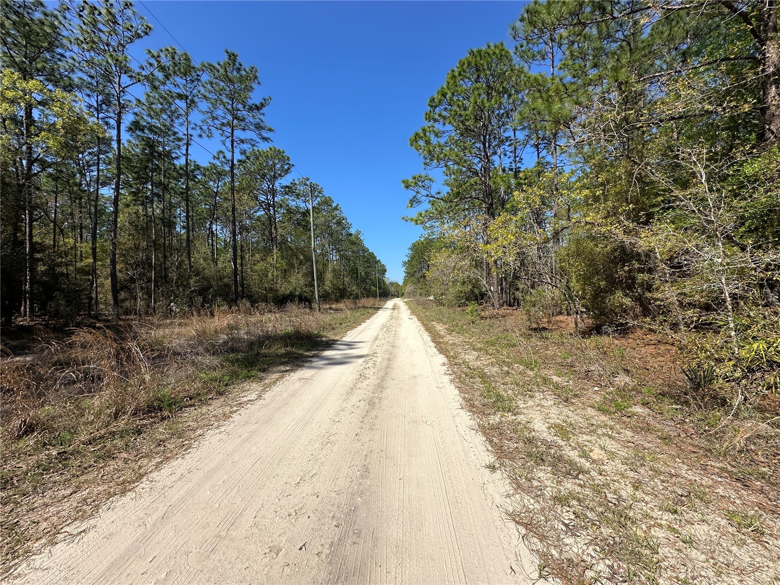 TBD SW 29th Street Ocala FL 34473 OM722079 image4