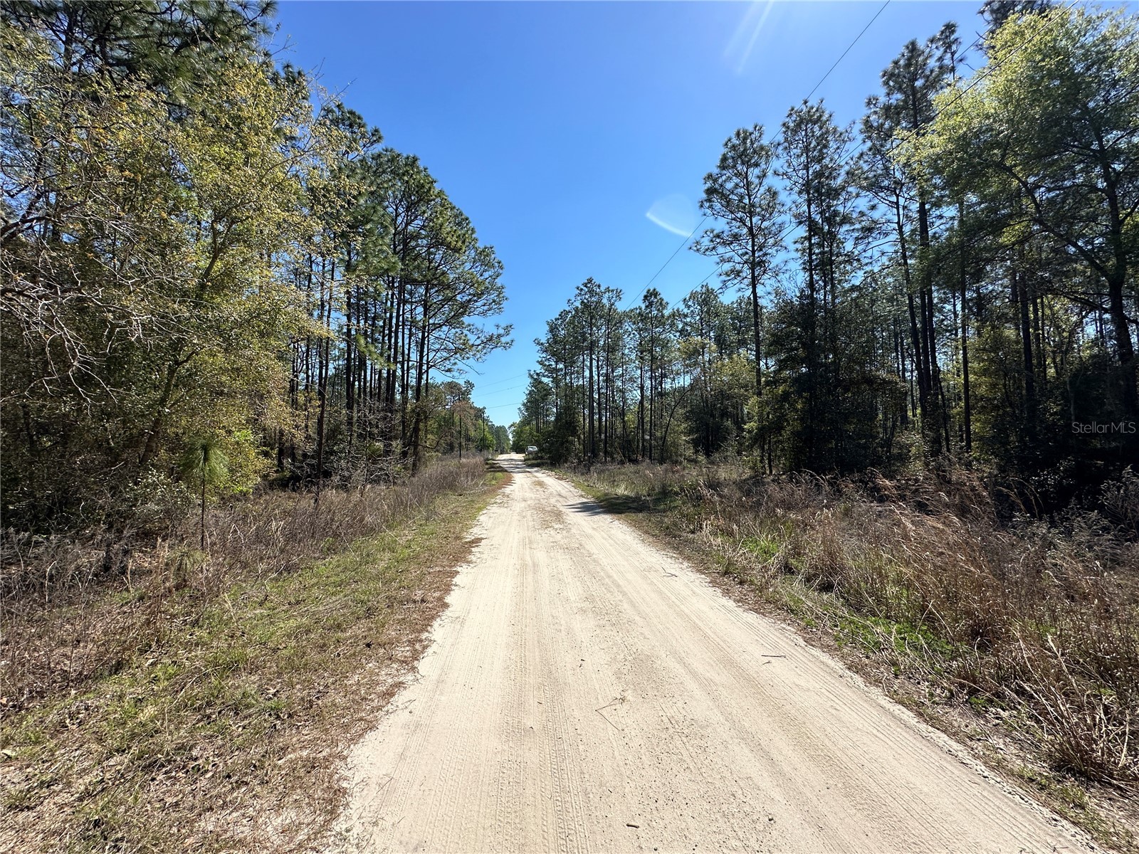 TBD SW 29th Street Ocala FL 34473 OM722079 image5