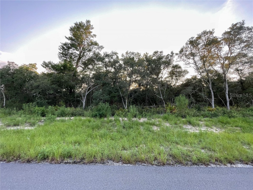 TBD SW 29th Terrace Ocala FL 34473 OM662084 image1