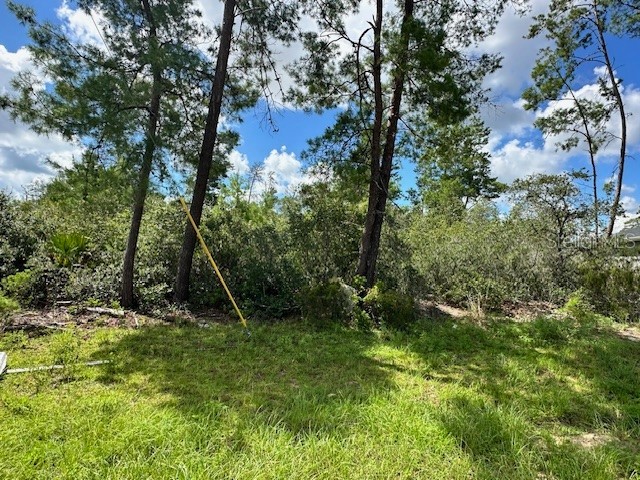 TBD SW 29th Terrace Road Ocala FL 34473 OM707743 image1