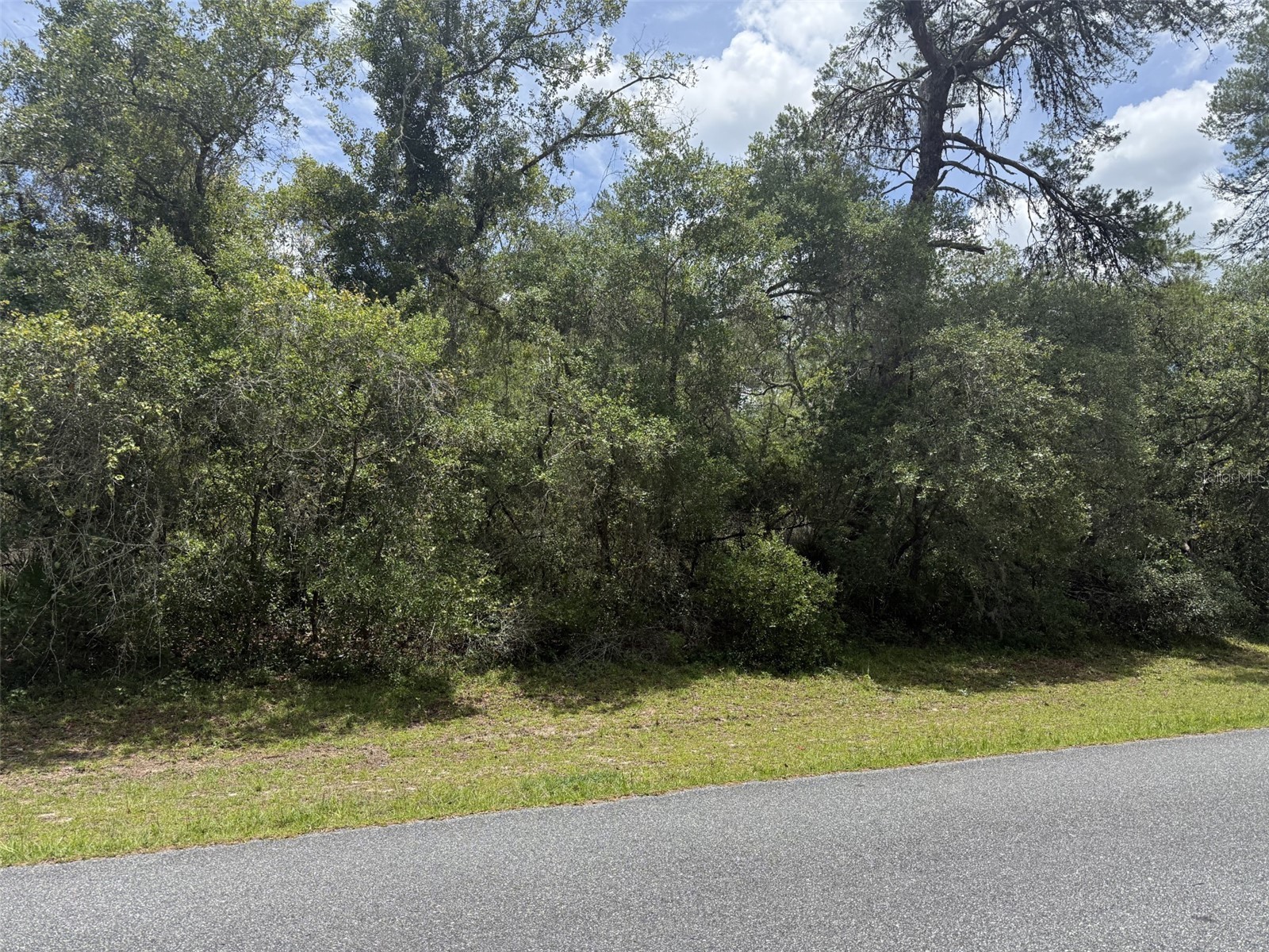 TBD SW 29th Terrace Road Ocala FL 34473 OM724993 image1