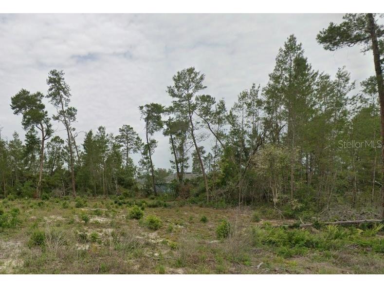 TBD Sw 30th Ave Rd Ocala FL 34473 O6369220 image1