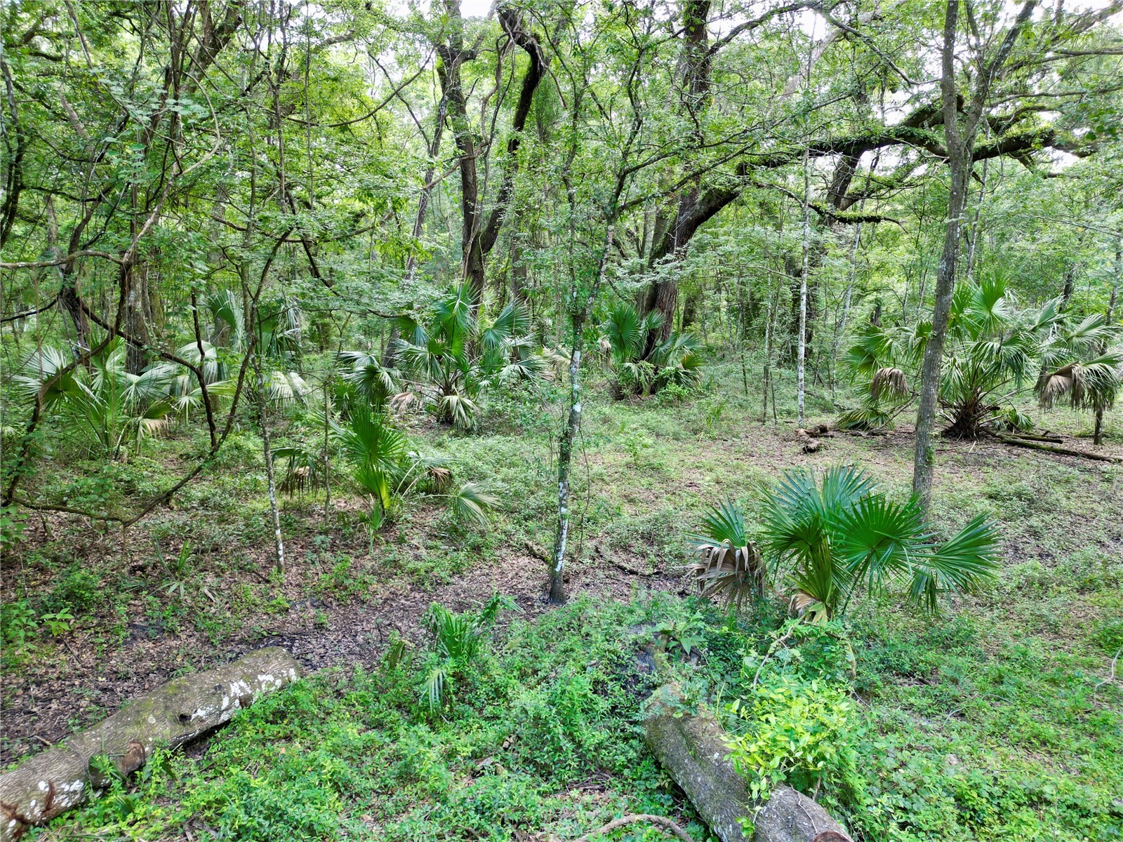 TBD SW 31st Way Way Webster FL 33597 G5108008 image11