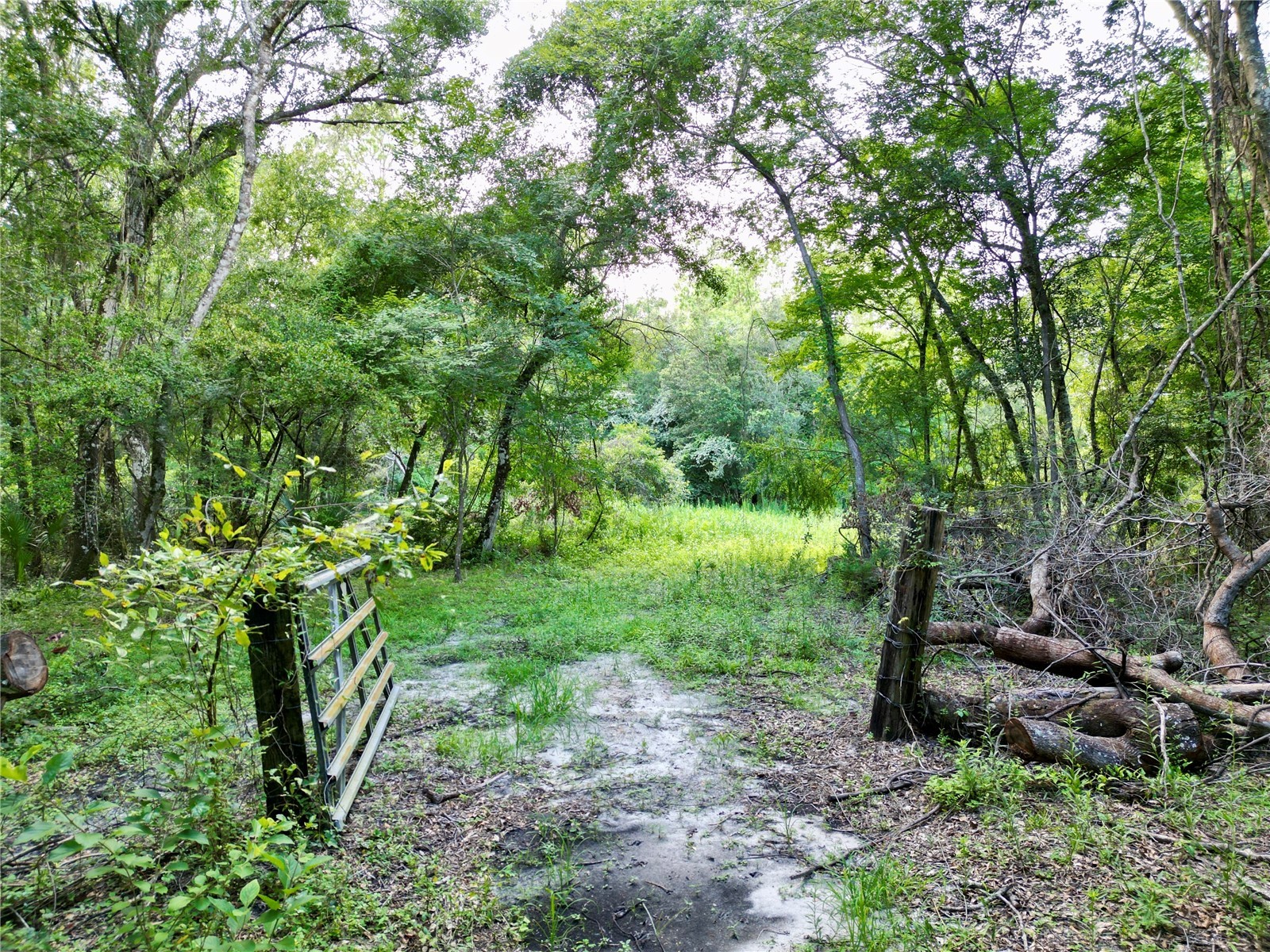 TBD SW 31st Way Way Webster FL 33597 G5108008 image2