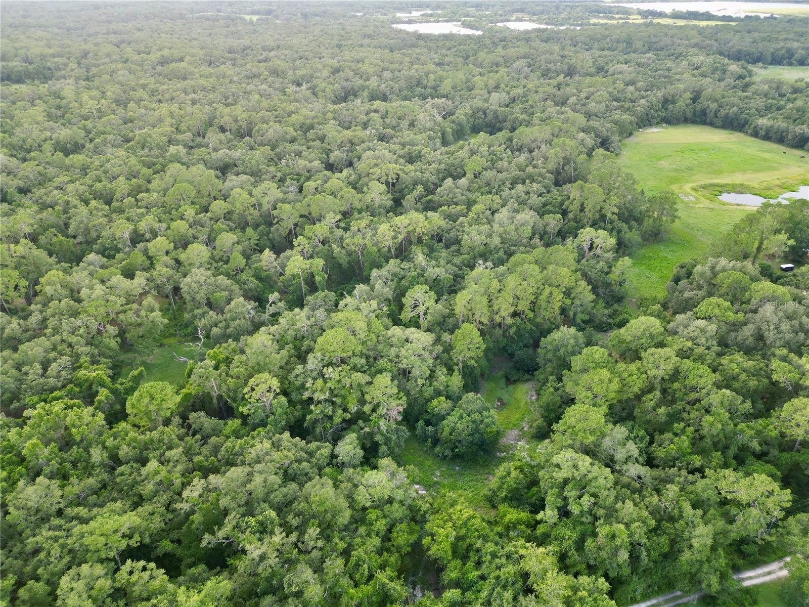 TBD SW 31st Way Way Webster FL 33597 G5108008 image3